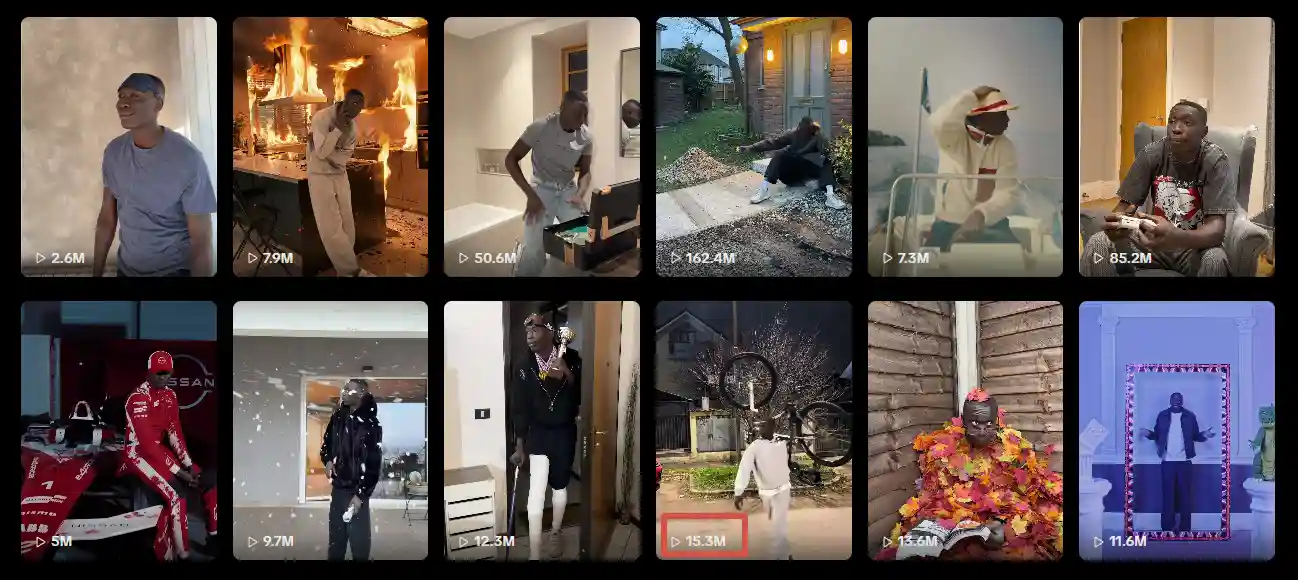 TikTok Video Likes Grid